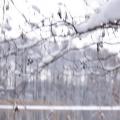 Winterblick aus Senzig (tn_100_4108.jpg) Zeesner See im Landkreis Dahme Spreewald
